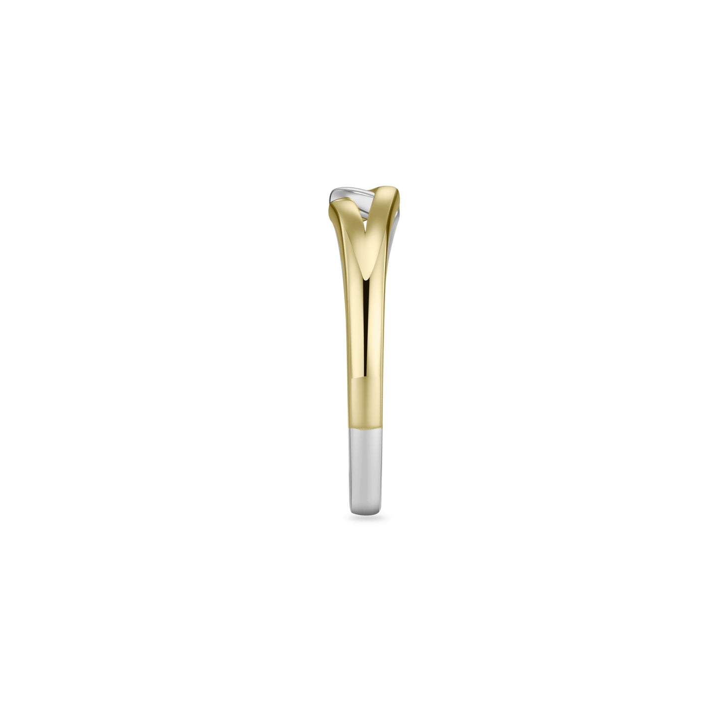 Two Colour Entwined Ring