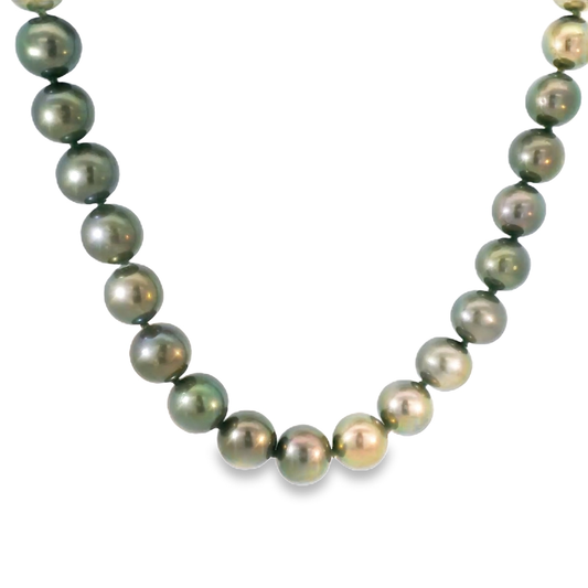 AA+ Black Fresh Water Pearl Row