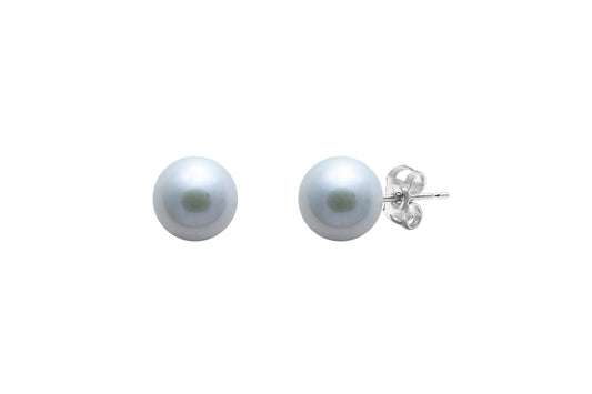 Silver 6-6.5m Grey Fresh Water Pearl Stud Earrings
