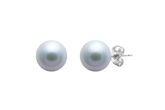 Silver 8-8.5mm Fresh Water Pearl Stud Earrings
