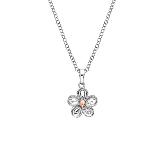 DP749 HD Single Forget me not Pd
