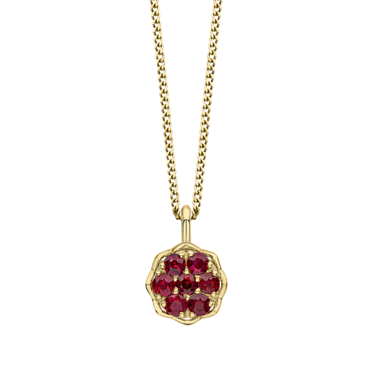 GP2351R 9ct YG Ruby Cluster pendant